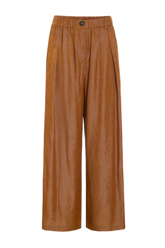 Andy pants brown