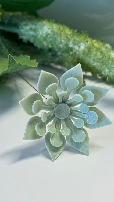 Hovedbilde Blomst mint