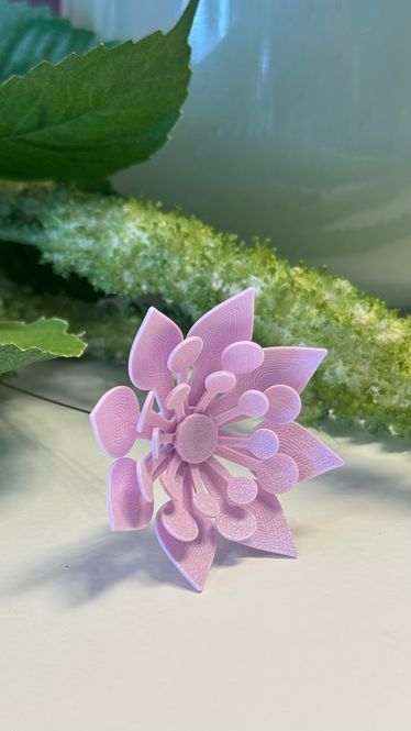 Hovedbilde Blomst lilac